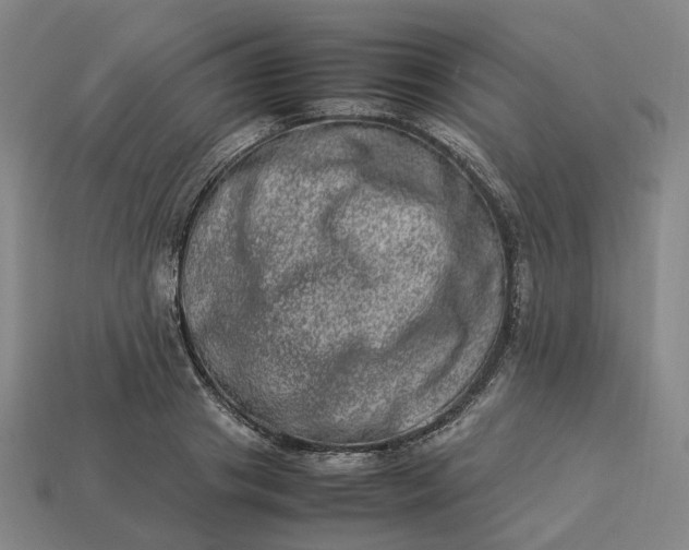 X0000112950841200909071114