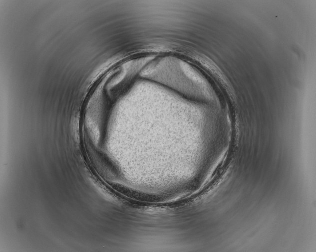 X0000112950842200909071114