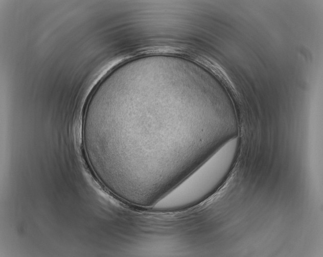 X0000112950844200909071114