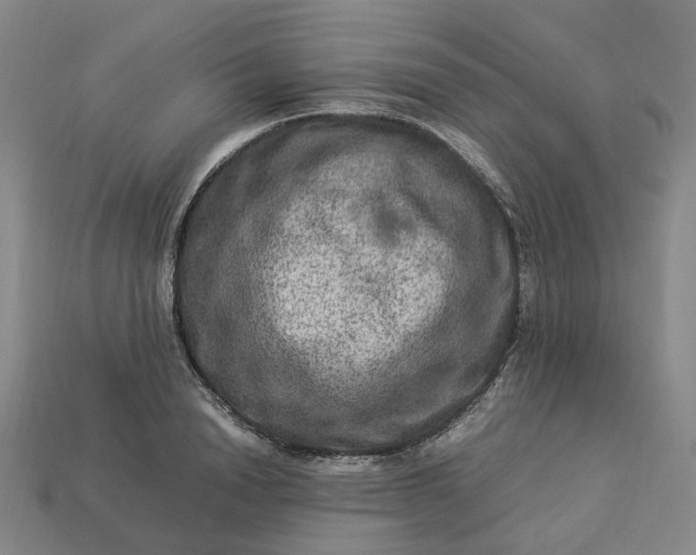 X0000112950846200909071114