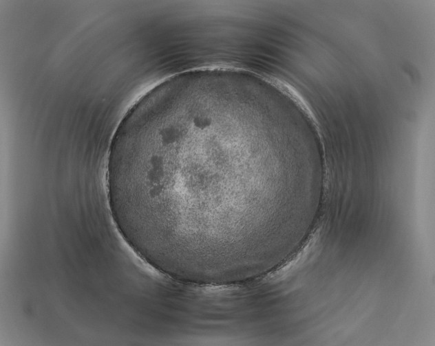 X0000112950847200909071114