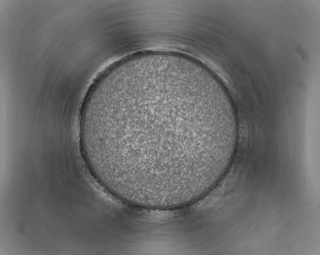 X0000112950848200909071114