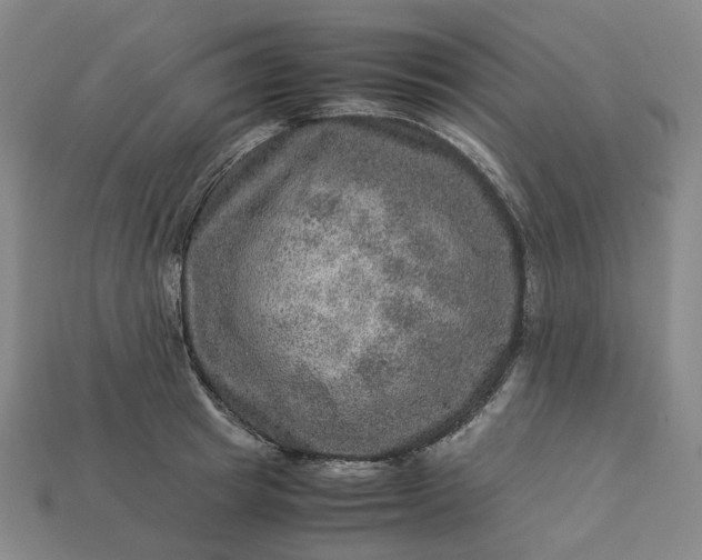 X0000112950849200909071114