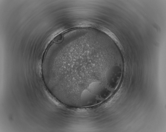 X0000112950850200909071114