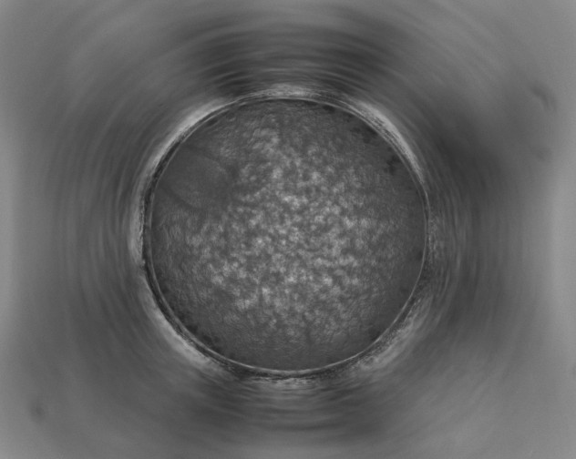 X0000112950851200909071114