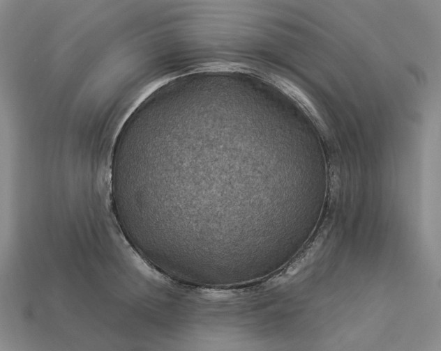 X0000112950852200909071114