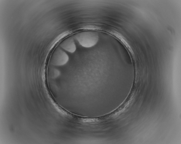 X0000112950853200909071114