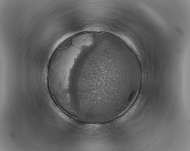 X0000112950854200909071114