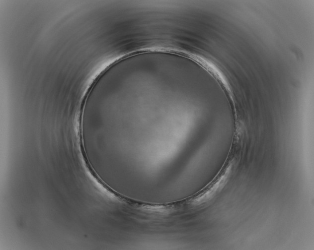 X0000112950855200909071114