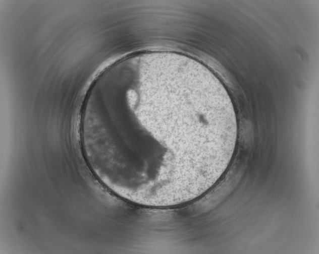 X0000112950856200909071114