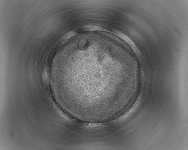 X0000112950857200909071114