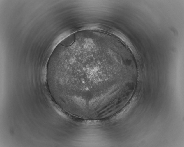 X0000112950858200909071114