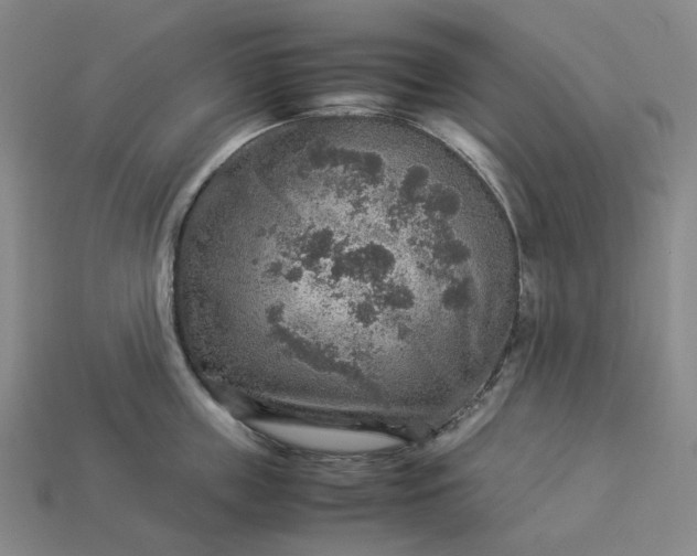 X0000112950859200909071114