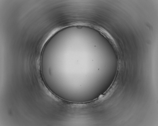 X0000112950860200909071114