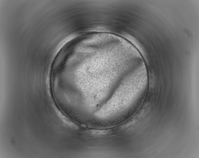 X0000112950861200909071114