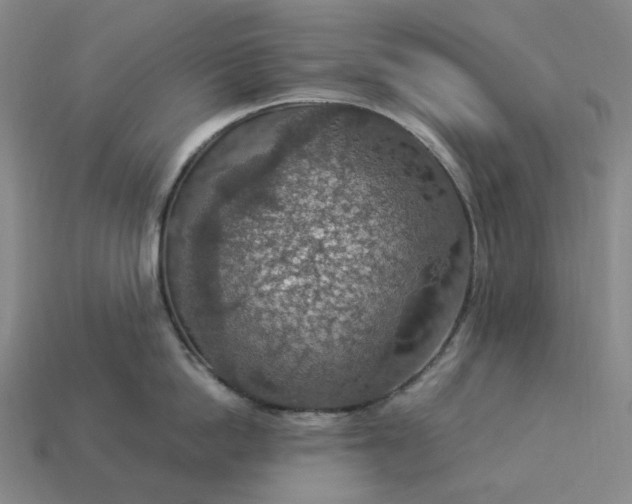 X0000112950862200909071114