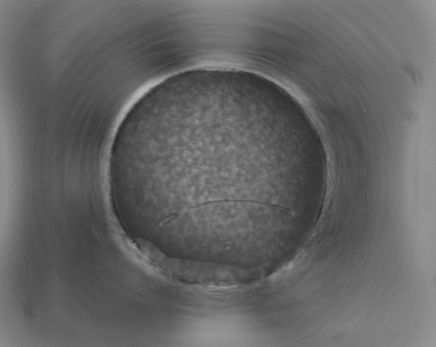 X0000112950864200909071114