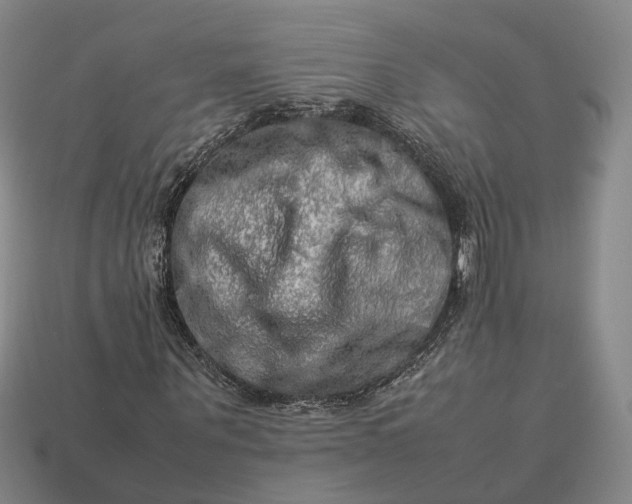 X0000112950867200909071113