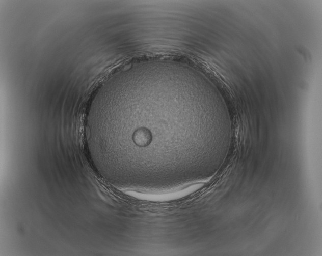 X0000112950868200909071113