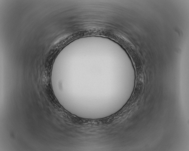 X0000112950869200909071113