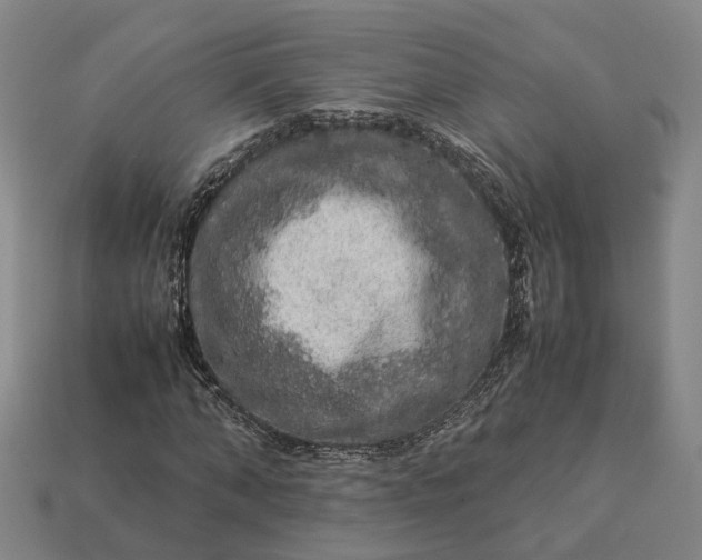 X0000112950870200909071113