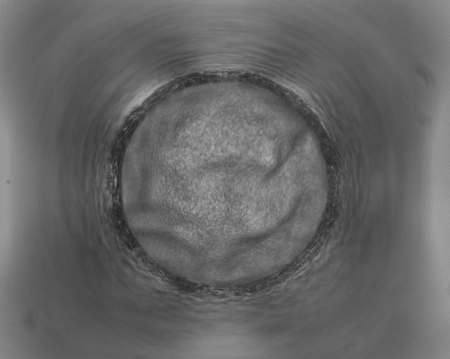 X0000112950871200909071113