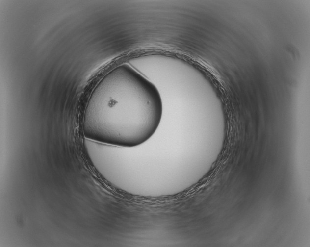 X0000112950872200909071113