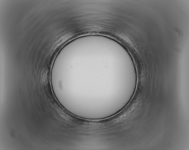 X0000112950873200909071113