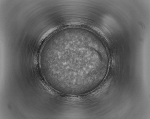 X0000112950874200909071113