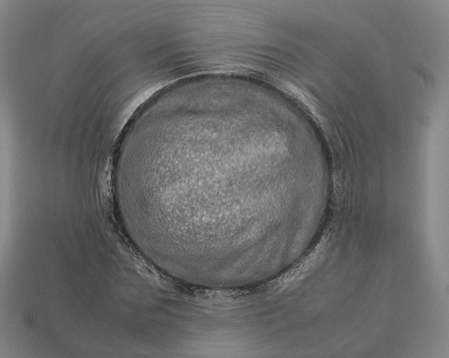 X0000112950875200909071113