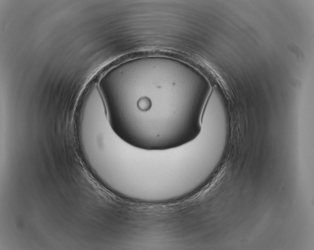 X0000112950876200909071113