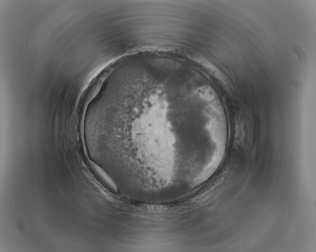 X0000112950878200909071113