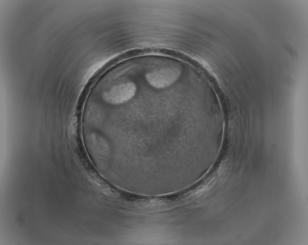 X0000112950879200909071113