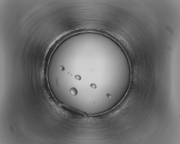 X0000112950880200909071113