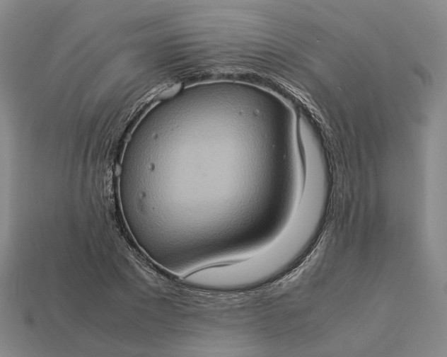 X0000112950881200909071113