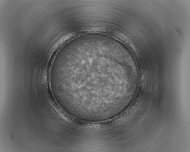 X0000112950882200909071113