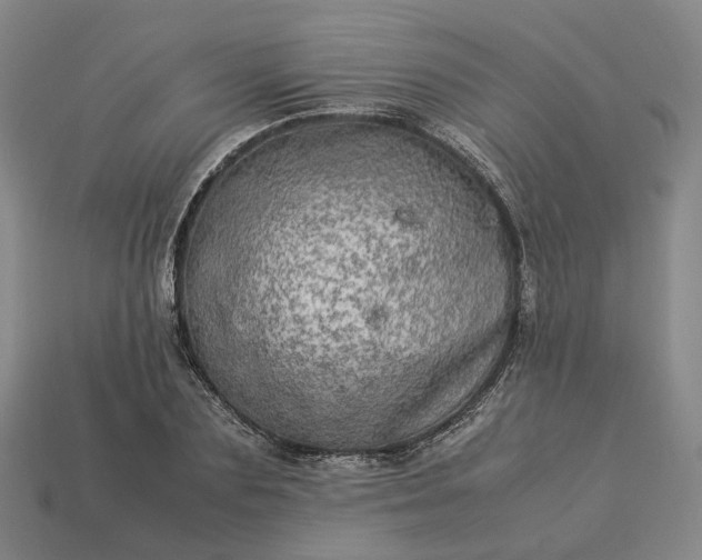 X0000112950883200909071113