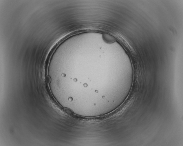 X0000112950884200909071113