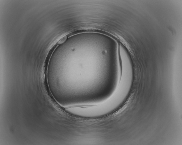 X0000112950885200909071113