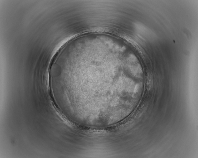 X0000112950886200909071113