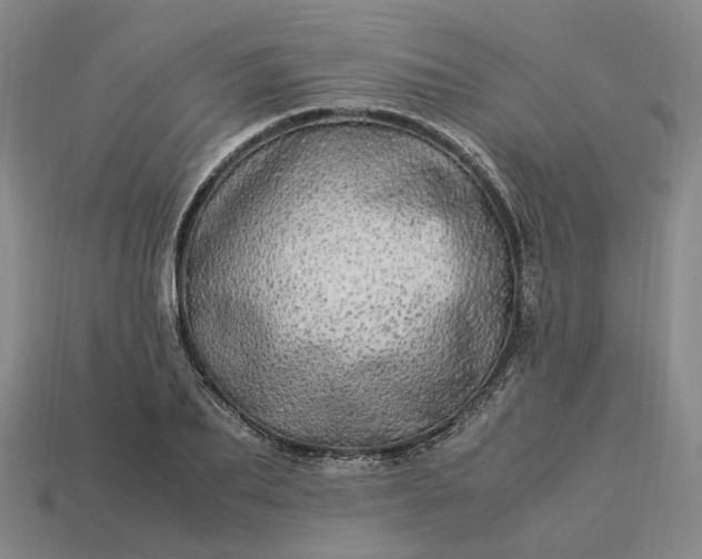 X0000112950887200909071113