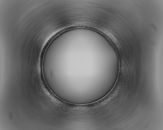 X0000112950888200909071113