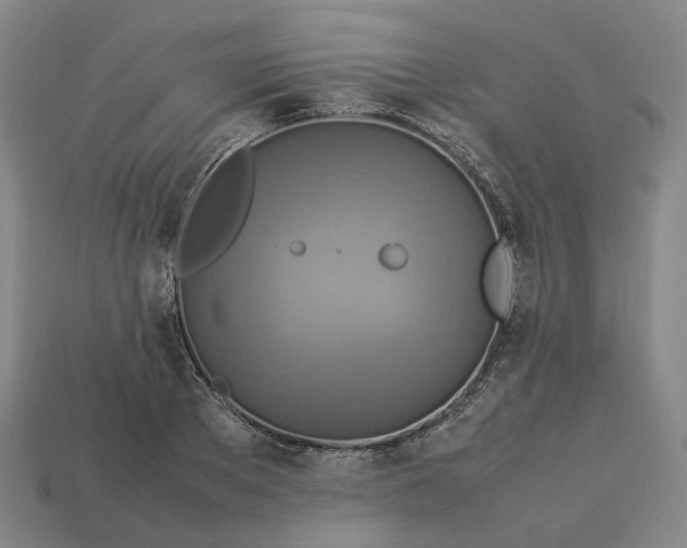 X0000112950889200909071113