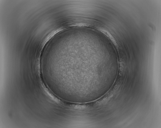 X0000112950890200909071113