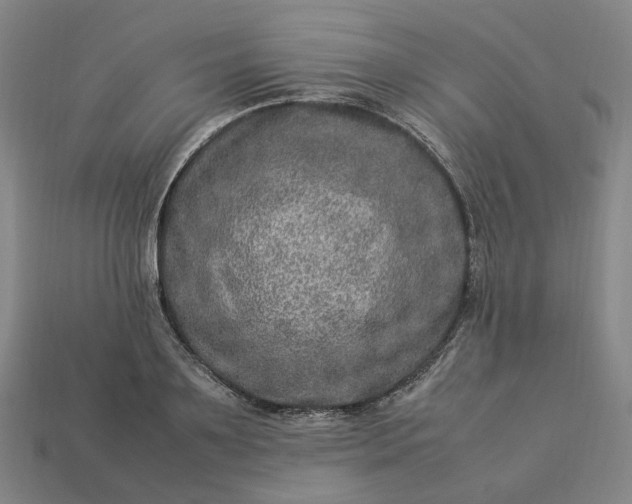 X0000112950891200909071113