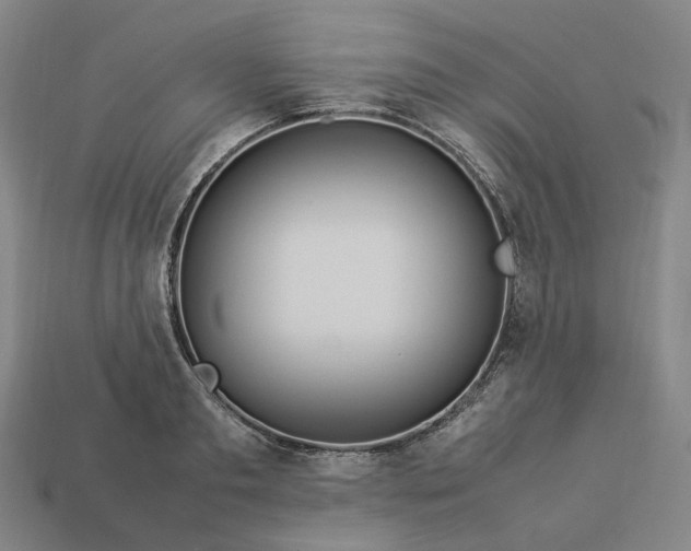 X0000112950893200909071113