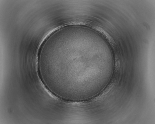 X0000112950894200909071113