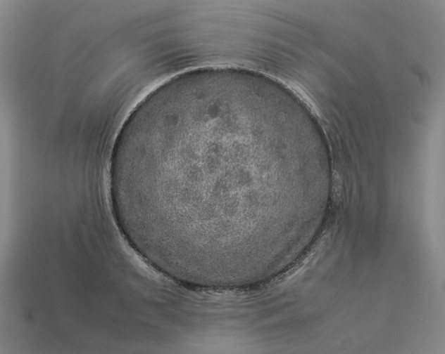 X0000112950895200909071113