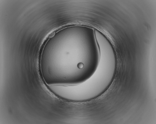 X0000112950896200909071113