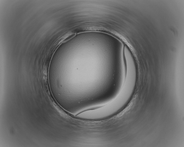 X0000112950897200909071113